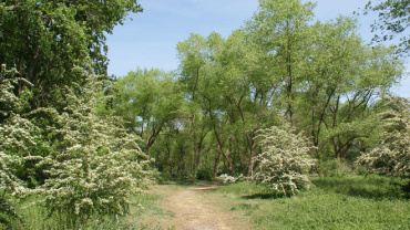 GHYVELDE
